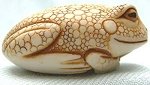 Toad
